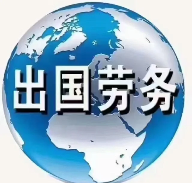 南京外国语交流平台——您的国际之旅起点