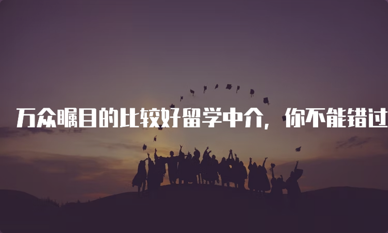 南京市外事服务公司的签证办理咨询电话是多少？这个问题常常困扰着想要了解具体信息的朋友们。